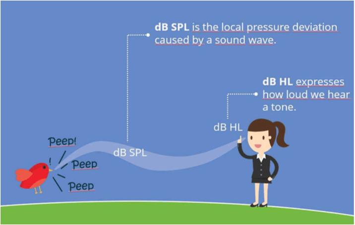 In this example, a girl can hear a bird peeping. dB SPL is the local pressure deviation caused by a sound wave, thus the actual sound pressure level of the bird's peep. dB HL is the intensity at which we can hear the sound, allowing the girl to hear the bird's peep.