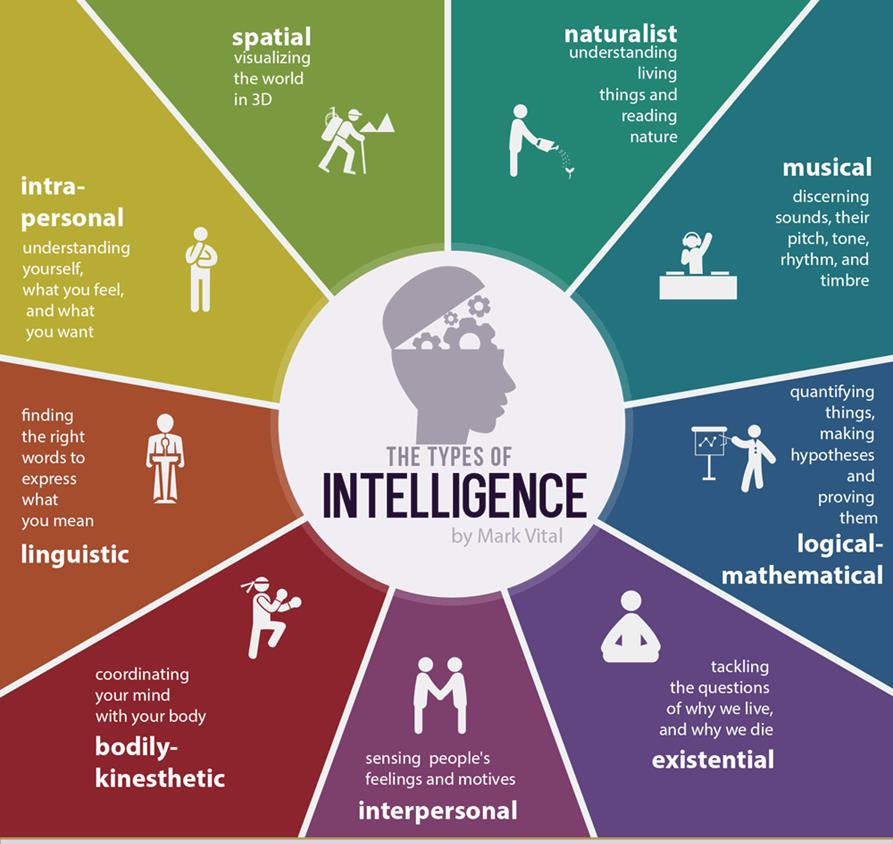 multiple intelligences brain diagram