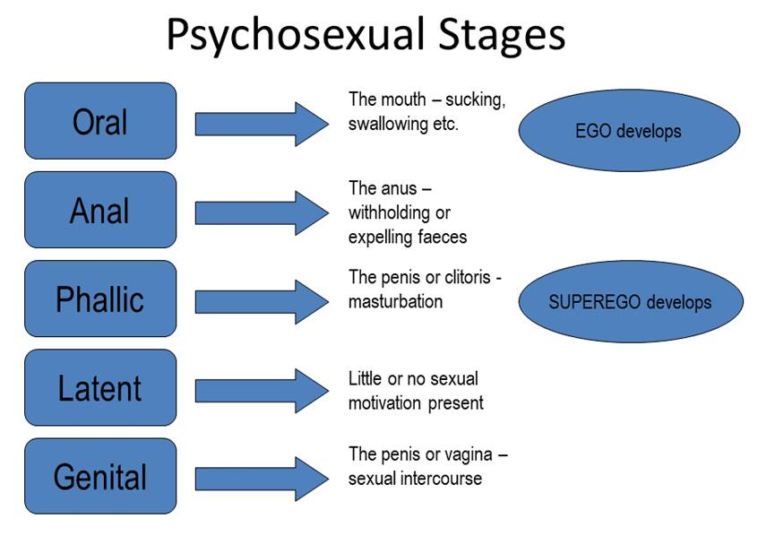 Ppt Sigmund Freuds Stages Of Psychosexual Development Powerpoint | My ...